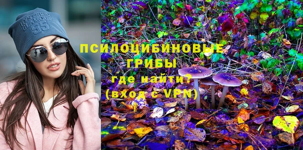 не бодяженный Нефтегорск