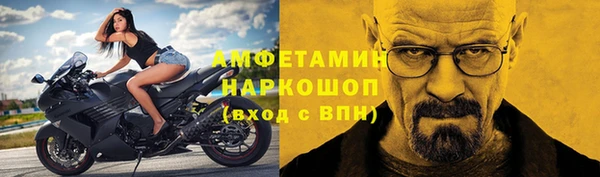 стаф Апатиты