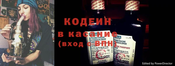 прущие грибы Нефтекумск