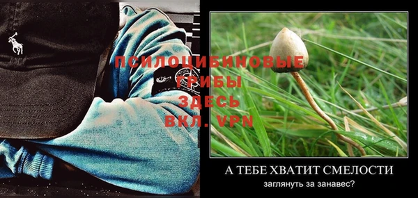 прущие крисы Нея