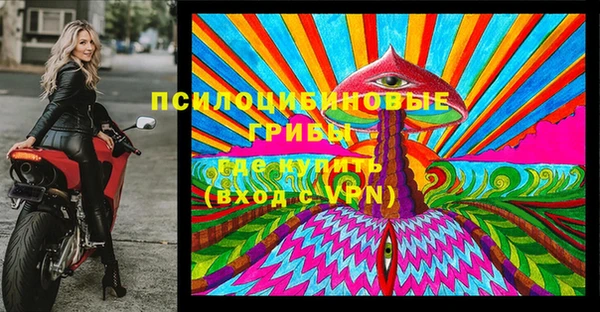 прущие грибы Нефтекумск