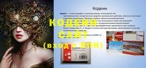 прущие грибы Нефтекумск