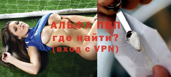 прущие грибы Нефтекумск
