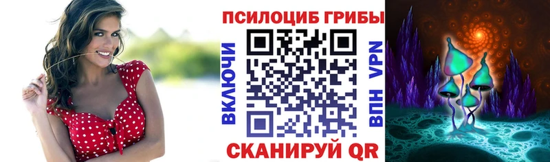 Псилоцибиновые грибы мицелий Кузнецк