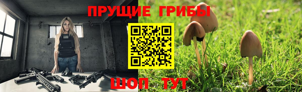 Псилоцибиновые грибы Magic Shrooms Кузнецк