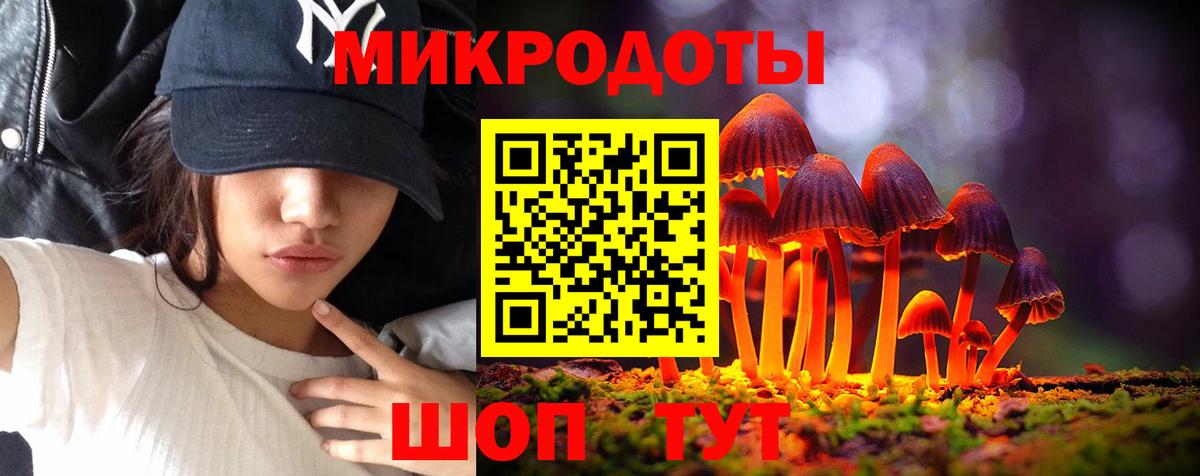 Галлюциногенные грибы Psilocybe  купить   Кузнецк 