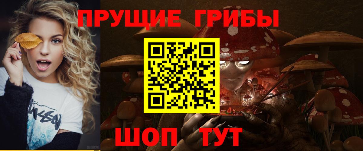 Бошки Шишки  Кузнецк  КОКАИН  Бошки Шишки  Меф  Вход с VPN  ГАШИШ  XTC 