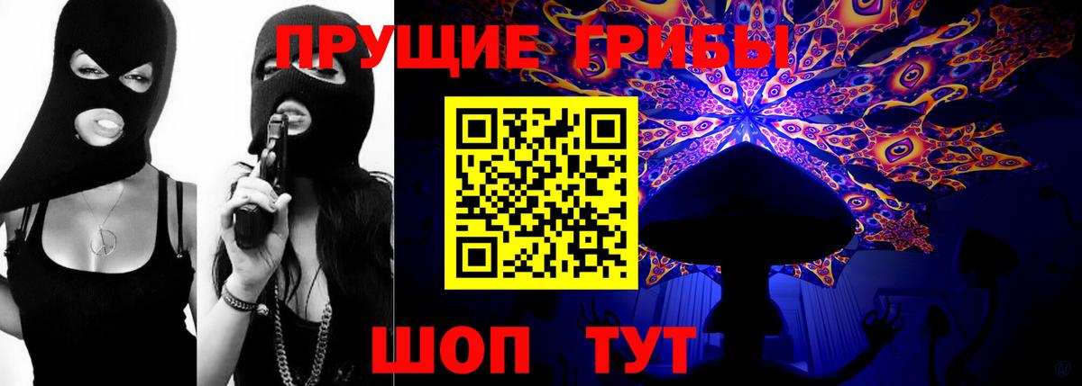 Галлюциногенные грибы Psilocybe  Псилоцибиновые грибы Psilocybe  Вход с VPN  Кузнецк 